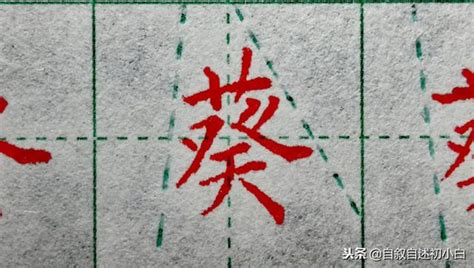 草字頭的字女